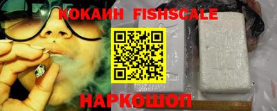 гашик Чапаевск