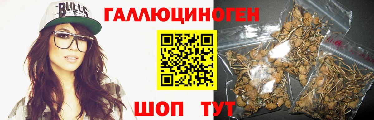 Магадан  Псилоцибиновые грибы мицелий  Вход с VPN 