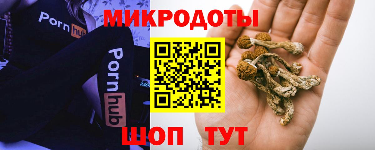 Галлюциногенные грибы MAGIC MUSHROOMS Магадан